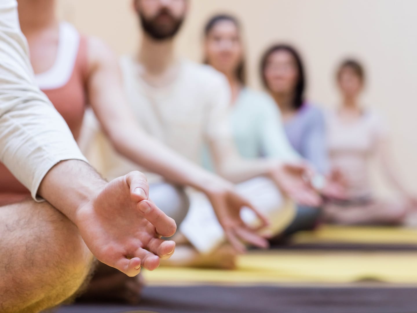 Balancing Life Through Yoga and Ayurveda Ayurvedic Treatments, Clinic